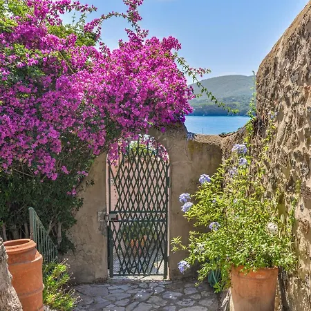 Le Tre Palme