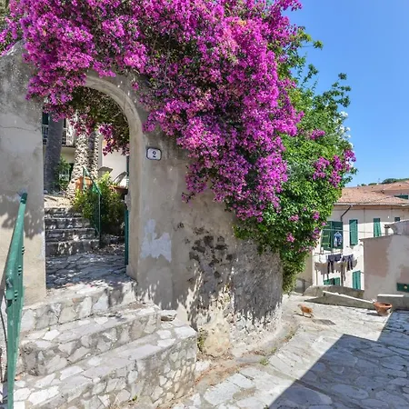 Le Tre Palme Porto Azzurro